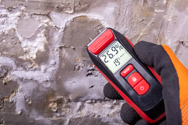 Best Crawl Space Mold Removal  in Clio, AL