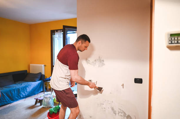 Best Water Damage Restoration  in Clio, AL